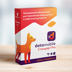 ПО DataMobile, версия Стандарт Pro в Белгороде